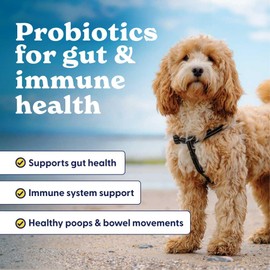 Origin Labs Belly Buddies Probiotics for Dogs, 5 Billion CFUs Prebiotics & Probiotics for Gut Health, 7 Strain Probiotic Blend, Immune Support, for All Dogs, Bacon Flavor, 90 Soft Chews