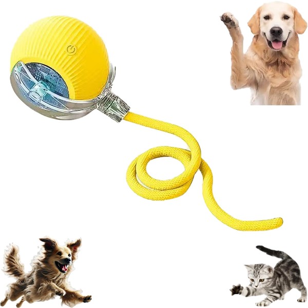 AUTRETY 2025 New Electric Dog Ball Toy,360° Smart Automatic Interactive