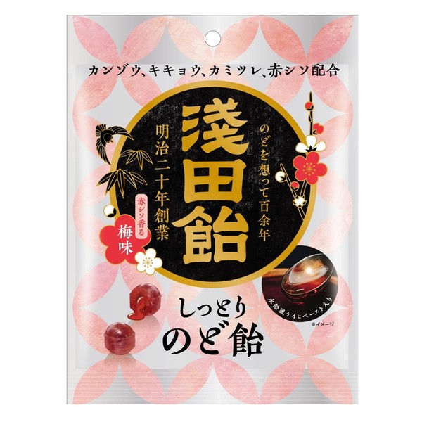 Asada Candy PSJBOX Moist Throat Candy Red Shiso Scented Plum