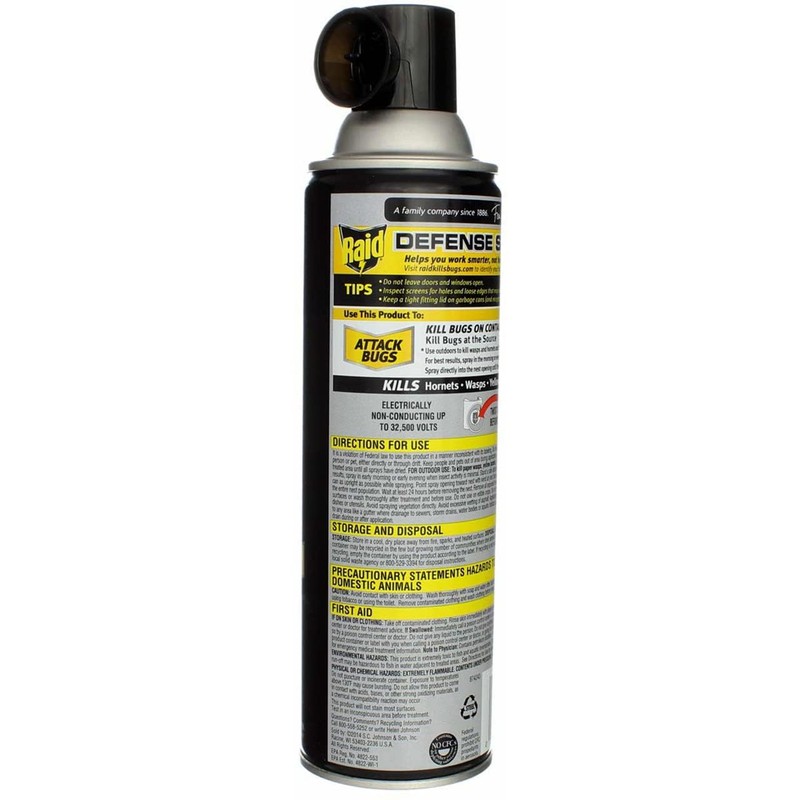 Raid Wasp & Hornet Killer Spray, 14 OZ (Pack -