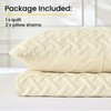JYHOPE Ultrasonic Reversible Quilt Set with 1 Quilt and 2