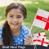 12Pcs England Flags on Sticks for St, George's Day Decorations,St