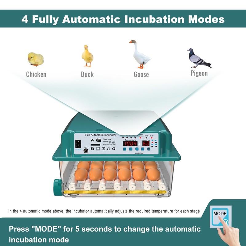 CoInceptus Incubators for Hatching 36 Eggs with Automatic Egg Turning