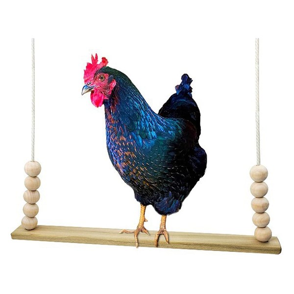 Bird Swing Wooden Hanging Chicken Swing Stand Suspension Bridge Budgie
