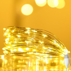 BEEWIN Warm White Fairy Lights USB Powered,10 LED Twinkle Copper Wire String Lights for DIY Crafts Mason Jars