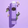 Hask Shampoo En Seco Fortalecedor Con Biotina