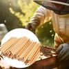 100Pcs Natural Mason Bee Tubes Eco-Friendly Beekeeper Nesting Refill Tubes
