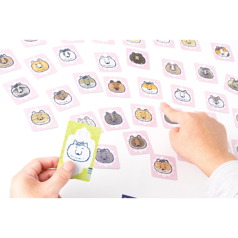 Gentosha 479178 Henge! Animal Finding Game, Card Game, For Ages