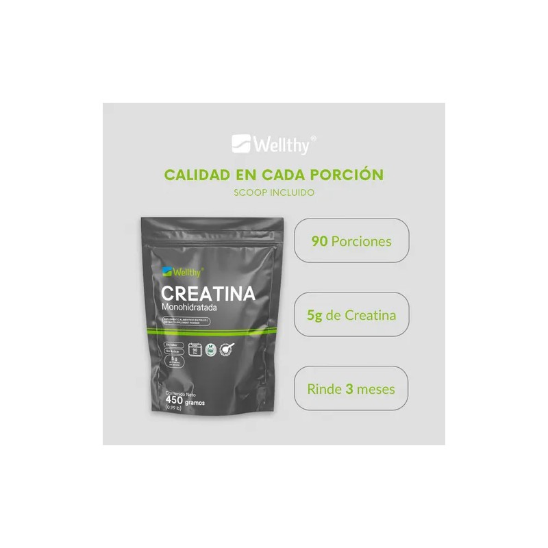 Creatina Monohidratada 450 Gr Wellthy 90 Porciones Sabor Sin Sabor