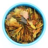 Aquarian Tropical Fish Flakes 50g