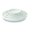 TAMAKI T-786345 Medium Plate Dot Circle Dot 7.7 x 1.1