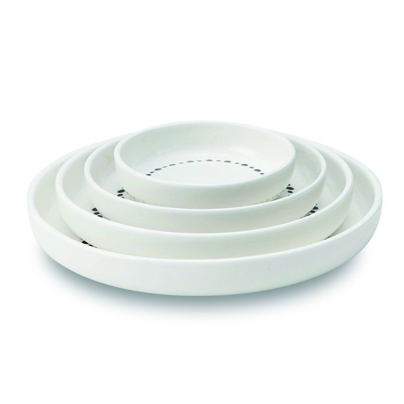 TAMAKI T-786345 Medium Plate Dot Circle Dot 7.7 x 1.1