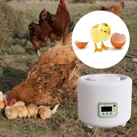 Milageto Egg Incubator with Temperature Control Holds 9 Eggs Egg Hatching Machine for Pigeon Chick Goose Chicken Science Classroom