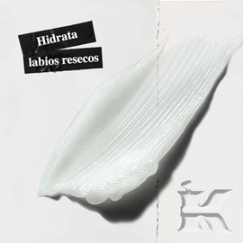 Kiehl's, Lip Balm #1, Hidratante para Labios, Un clásico de Kiehl's desde la década de 1960, Hidrata, Calma y Suaviza Labios Secos, Con Escualano, Aloe Vera y Vitamina E, 15 ml