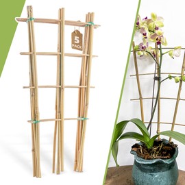5 Pack 16" Bamboo Trellis for Climbing Plants-Natural Garden Ladder Fan -Shaped Plants Support Trellis for Potted Plant Decor in Door