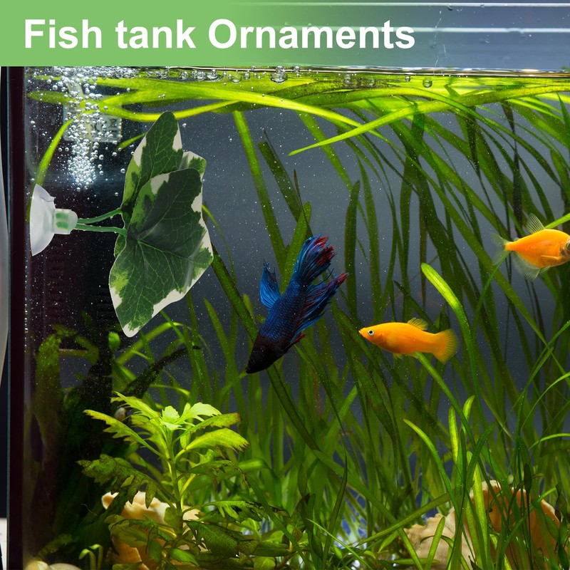CAPASTEC Betta Fish Leaf, Natural Habitat Simulation for Betta Spawnings