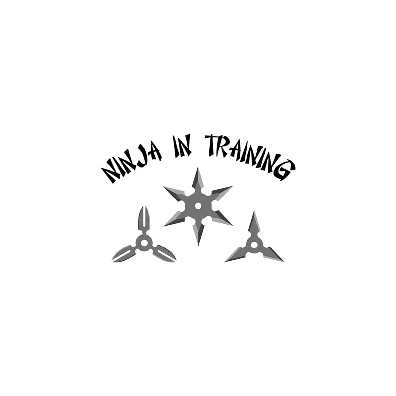 CafePress Ninja Training Magnets Rectangle Magnet, 3"x2" Refrigerator Magnet