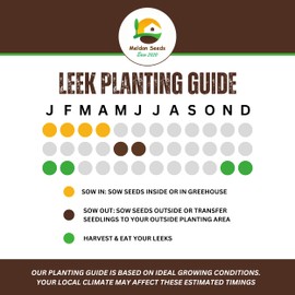 Meldon Seeds Musselburgh Leek Seeds - 300 Winter Hardy Vegetable Seeds C Suitable for Indoor & Outdoor Planting in Pots or Soil in Allotment, Balcony or Garden C Packed in UK by Meldon Seeds