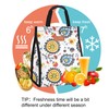 Lunch Bags for Women Insulated Reusable Lunch Tote with Internal