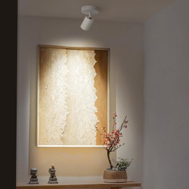 XLGHZOO White Surface Mounted LED Ceiling Spotlight Directional Spot Lights Indoor Bright Can Accent Fixture for Living Room Bedroom - CRI92 Flicker Free 7W 560LM 3000K Warm White (Driver includ)