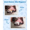 Lullu 14 Kit Pulizia Denti Cane, Ablatore Tartaro Ultrasuoni Cani
