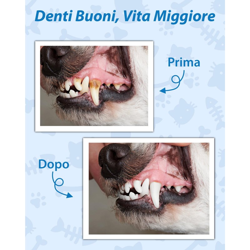 Lullu 14 Kit Pulizia Denti Cane, Ablatore Tartaro Ultrasuoni Cani