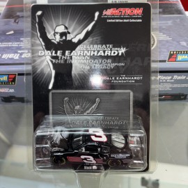 Action Dale Earnhardt 2003 #3 Dale Earnhardt Foundation Chevy Monte Carlo 1/64 Diecast!