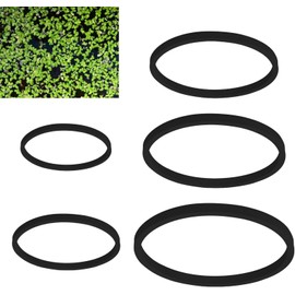 THJOPOKEEL 5 Anillos flotantes para Plantas de Acuario, Anillos de alimentación de Peces, Planta Flotante, Corral, interceptación de Plantas flotantes, círculo para Peces (Negro)