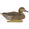 Avian-X Top Flight Pintail Decoys 6 Pack, One Size, (8082)