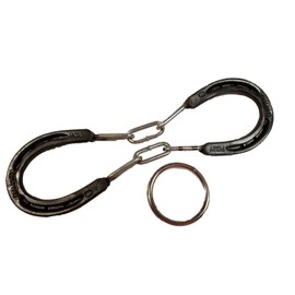 Private Horseshoe Brain Teaser Puzzle