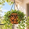 Coconut Brown Hanging Planter Basket for Indoor & Outdoor Plants