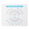 32pcs Dental Veneers Mould Set Different Shapes Heat Resistance Front