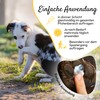 pha Dog Paw and Bunion Protection from the elements Cream