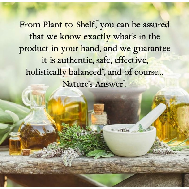 Natural's Answer EcinacceRoot & Golden Seal, Alcoho-Free, 120 ml