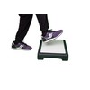 Mind Reader Anchor Collection, Indoor/Outdoor Platform Booster Step, 15.75" L