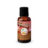 VIDAS SCENTS Aceite Esencial de Manzana y Canela Aromaterapia 30