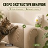 9-Pack Cat Calming Pheromone Diffuser Kit, 3 Diffusers & 6×48mL