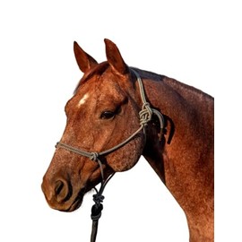 Classic Equine Halter with 9ft Leadrope Greyblack