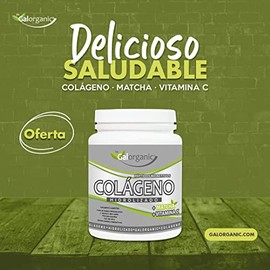Colágeno Hidrolizado. Adicionado con Matcha y Vitamina C. 500 Gramos.                                                                                 