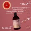 benecos Organic Shower Gel Lavender Holiday in Provence Vegan Recycled