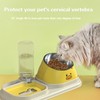 Stainless Steel 3-in-1 Pet Feeder Bowl, Slow Food and Water
