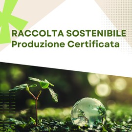 Clorophilla. Choice of 3 Types of Smudge White Sage, Cleansing, Yoga, Meditation and Wellness, 100% Natural, Handmade, Pack of 3 - Instructions Included (Smudge and Palo)