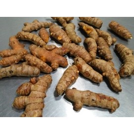 Indus Organics Turmeric (Curcumin) 1 Lb,Refill Bag, Premium Grade, High Purity, Freshly Packed