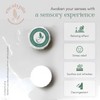 Eucalyptia Mint-Eucalyptus Shower Steamers | 10 King-Size Aromatherapy Tablets for