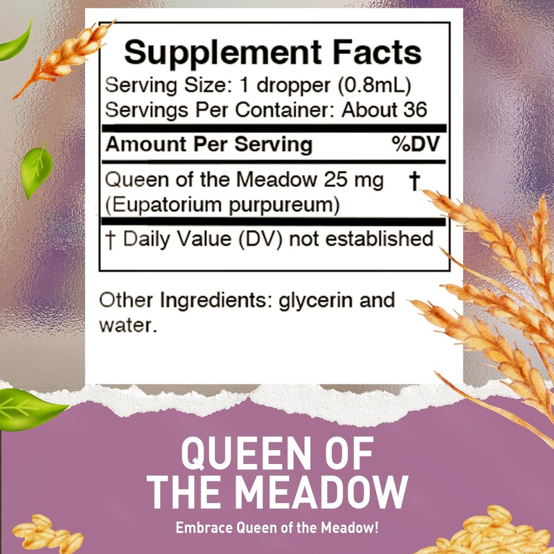HoneyCombs Queen of The Meadow (Meadowsweet) – Herbal Supplement for
