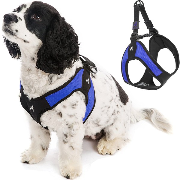 Gooby Escape Free Easy Fit Harness - Blue, Medium -