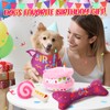 JellyArch 4 Pcs Dog Birthday Toys Set Plush Squeaky Dog