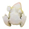 Hztyyier Toad Figurine Realistic Toad Figurine Lawn Garden Courtyard Ornaments