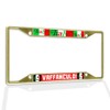 Fastasticdeals Metal Insert License Plate Frame Italy Vaffanculo! Weatherproof Car