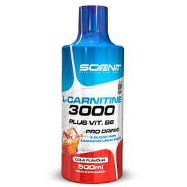 L Carnitine Liquid - L Carnitine 3000 - L-Carnitine Liquid - L-Carnitine High Dose - L Carnitine 3000 mg (500 ml) (Cola)
